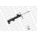 Shock Absorber OESpectrum 742002SP Monroe