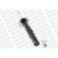 Shock Absorber OESpectrum 742017SP Monroe, Thumbnail 7