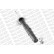 Shock Absorber OESpectrum 742019SP Monroe, Thumbnail 7