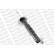 Shock Absorber OESpectrum 742020SP Monroe, Thumbnail 7