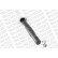Shock Absorber OESpectrum 742022SP Monroe, Thumbnail 7