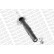 Shock Absorber OESpectrum 742023SP Monroe, Thumbnail 7