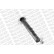 Shock Absorber OESpectrum 742029SP Monroe, Thumbnail 8