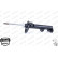 Shock Absorber OESpectrum 742129SP Monroe