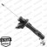 Shock Absorber OESpectrum 742196SP Monroe