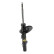 Shock Absorber OESpectrum 742207SP Monroe, Thumbnail 11