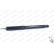 Shock Absorber OESpectrum 