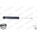 Shock Absorber OESpectrum 