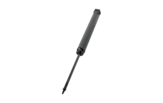Shock Absorber OESpectrum 