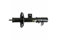 Shock Absorber OESpectrum