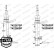 Shock Absorber OESpectrum 