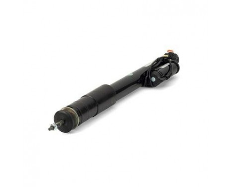 Shock Absorber SK-3199 Arnott