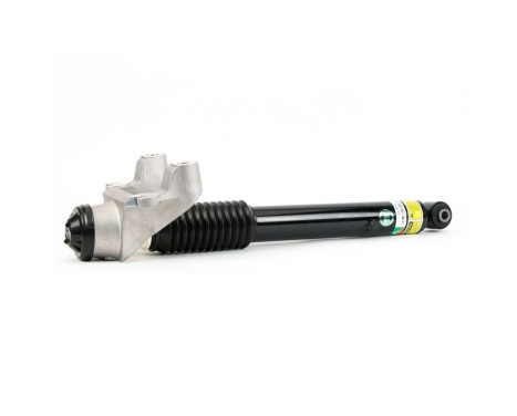Shock absorber SK-3310 Arnott