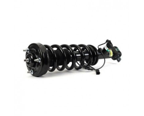 Shock Absorber SK-3598 Arnott