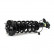 Shock Absorber SK-3598 Arnott