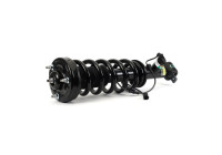 Shock Absorber SK-3598 Arnott