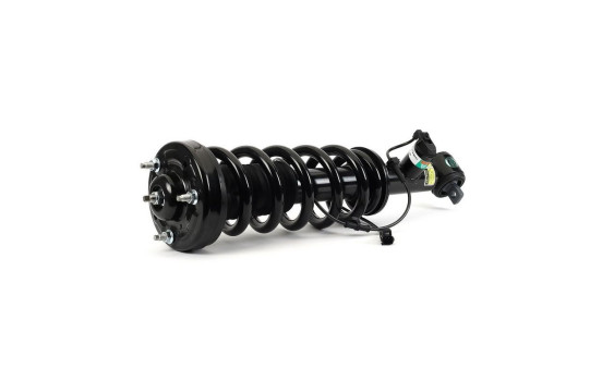 Shock Absorber SK-3598 Arnott