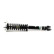 Shock absorber SK-3602 Arnott, Thumbnail 4