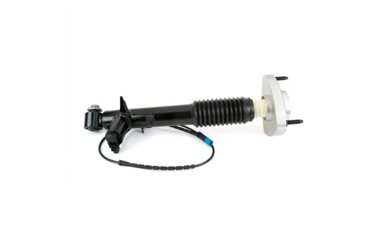 Shock absorber SK-3816 Arnott, Image 4