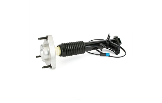 Shock absorber SK-3817 Arnott