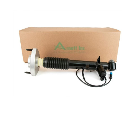 Shock absorber SK-3817 Arnott, Image 3