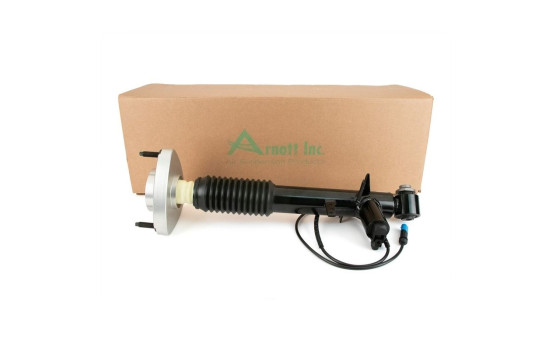 Shock absorber SK-3817 Arnott, Image 3