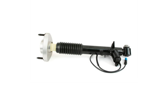 Shock absorber SK-3817 Arnott, Image 4