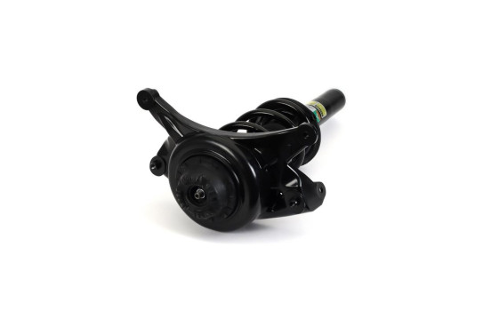 Shock absorber SK-3843 Arnott, Image 2