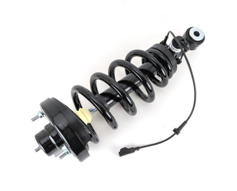 Shock absorber SK-4209 Arnott, Image 2