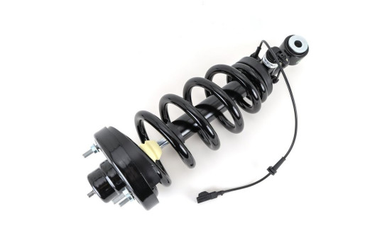 Shock absorber SK-4209 Arnott, Image 2