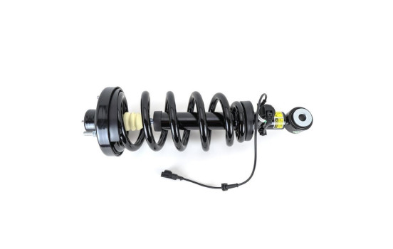 Shock absorber SK-4209 Arnott, Image 3