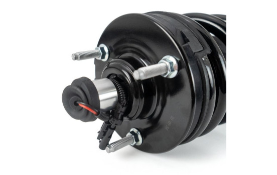 Shock absorber SK-5357 Arnott, Image 8