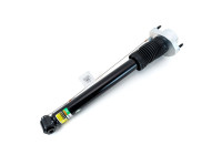 Shock absorber SKE-3830 Arnott