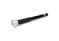 Shock absorber SKE-4367 Arnott
