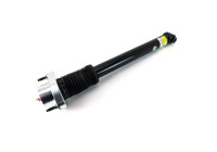 Shock absorber SKE-5713 Arnott