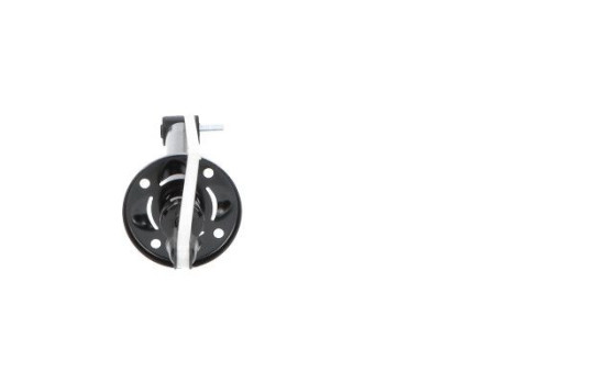 Shock Absorber SSA-10019 Kavo parts, Image 3