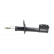 Shock Absorber SSA-10081 Kavo parts, Thumbnail 4