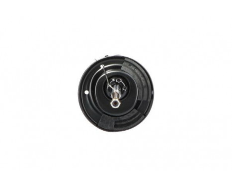 Shock Absorber SSA-10156 Kavo parts, Image 3