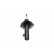 Shock Absorber SSA-10210 Kavo parts