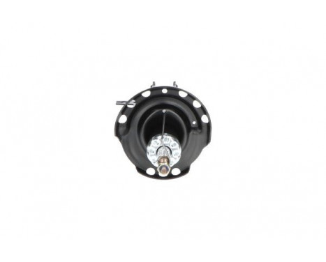 Shock Absorber SSA-10359 Kavo parts, Image 3