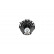 Shock Absorber SSA-10359 Kavo parts, Thumbnail 3