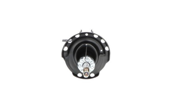 Shock Absorber SSA-10359 Kavo parts, Image 3