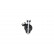 Shock Absorber SSA-10369 Kavo parts, Thumbnail 3