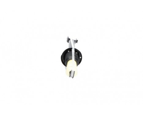 Shock Absorber SSA-10379 Kavo parts, Image 3