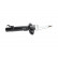 Shock Absorber SSA-10381 Kavo parts, Thumbnail 2