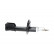 Shock Absorber SSA-10392 Kavo parts, Thumbnail 2