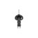 Shock Absorber SSA-10479 Kavo parts