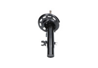 Shock absorber SSA-10645 Kavo parts