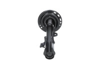 Shock absorber SSA-10648 Kavo parts