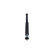 Shock absorber SSA-11070 Kavo parts, Thumbnail 3